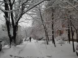 Зимние виды Донецких улиц от адвокатов Донецка ЮК ВиП