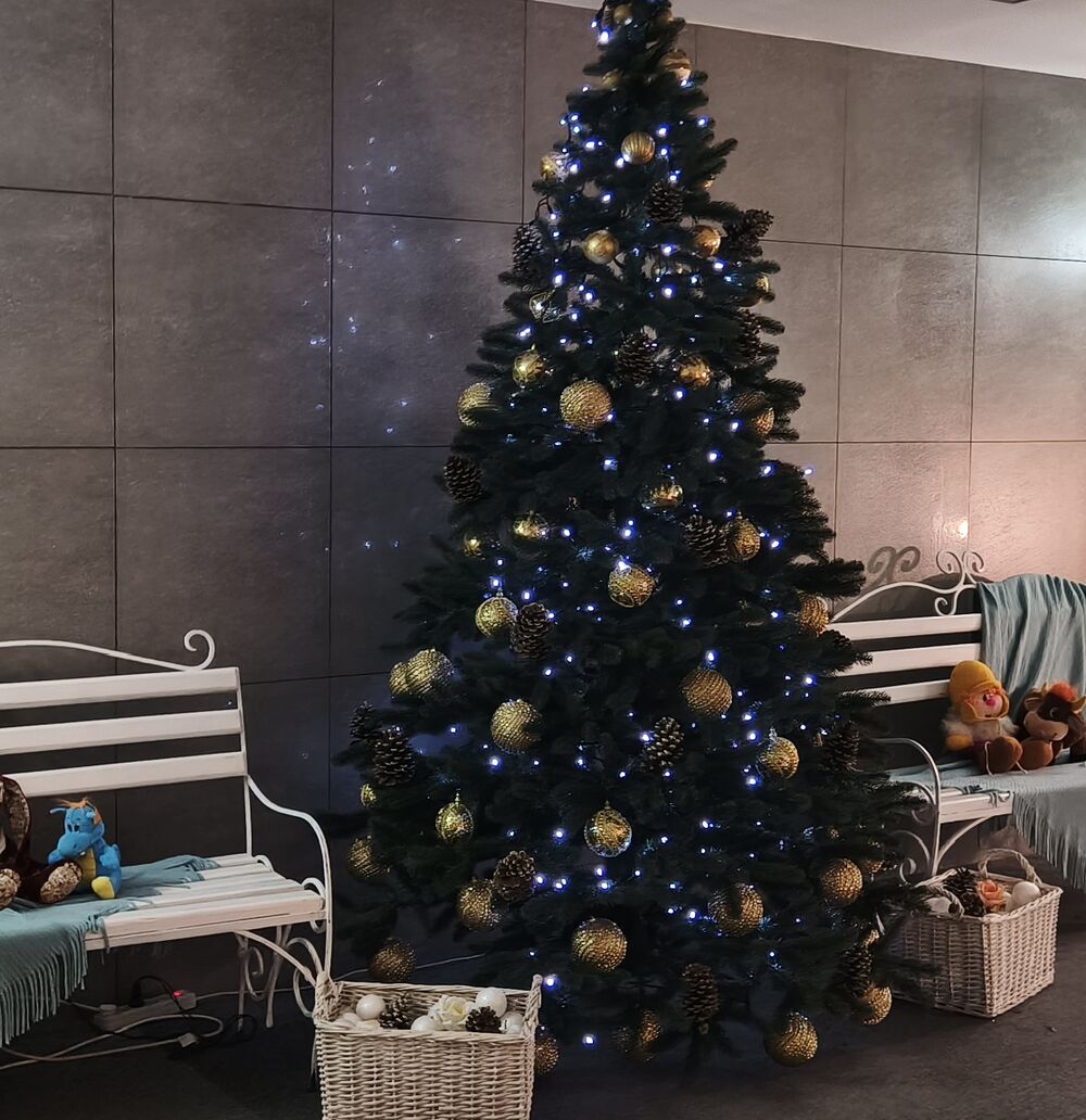 Юристы Донецка ЮК ВиП вынуждены сообщить о перерыве в оказании услуг до 08.01.2026